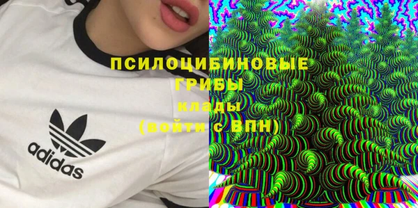 PSILOCYBIN Арсеньев