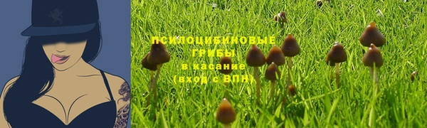 PSILOCYBIN Арсеньев